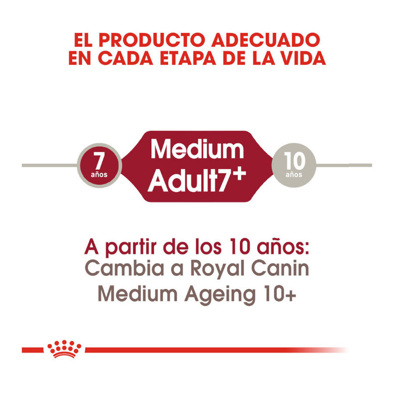Royal Canin Medium 7+ Adult pienso para perros seniors, , large image number null